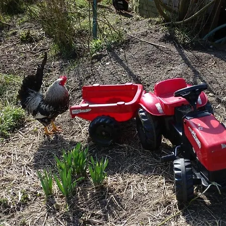 威琵恩公寓 公寓 *